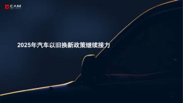 2025年汽车以旧换新政策继续接力报告.pdf