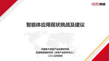 2025年智能体应用现状挑战及建议报告.pdf