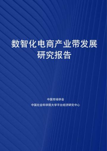 2025数智化电商产业带发展研究报告.pdf