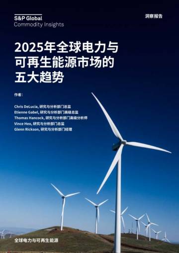 2025年全球电力与可再生能源市场的五大趋势报告.pdf