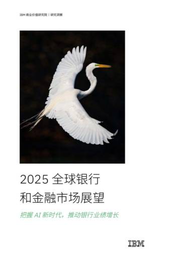 2025全球银行和金融市场展望报告：把握AI新时代推动银行业绩增长.pdf
