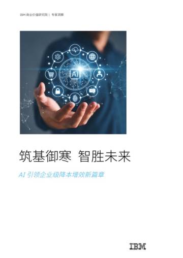 2025年筑基御寒智胜未来：AI引领企业级降本增效新篇章报告.pdf