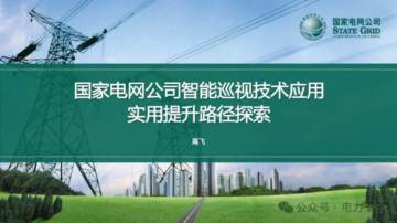 2024年国家电网公司智能巡视技术应用实用提升路径探索报告.pdf