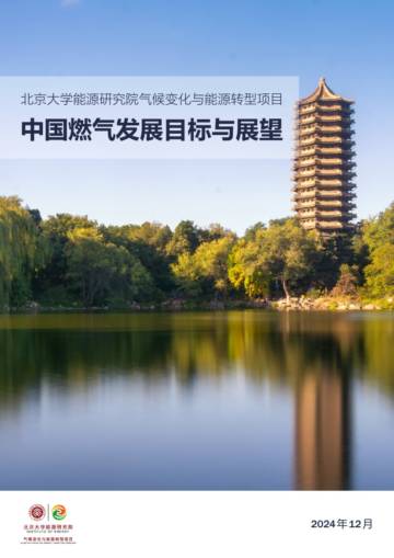 2024年中国燃气发展目标与展望报告.pdf