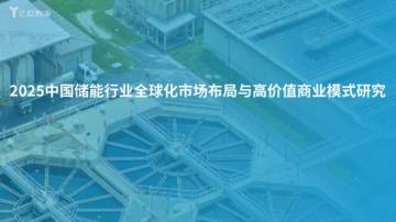 2025中国储能行业全球化市场布局与高价值商业模式研究.pdf