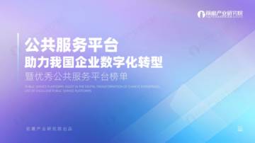 2025年公共服务平台助力我国企业数字化转型暨优秀公共服务平台榜单.pdf
