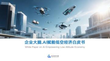 2025年企业大脑·AI赋能低空经济白皮书.pdf