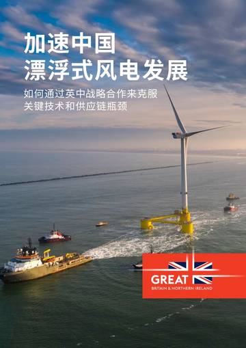 加速中国漂浮式风电发展研究报告.pdf