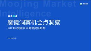 2024年复盘及电商消费新趋势.pdf