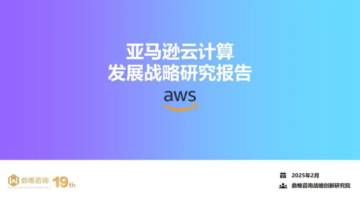 2025亚马逊云计算发展战略研究报告.pdf