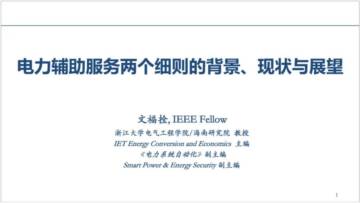 电力辅助服务两个细则的背景、现状与展望.pdf