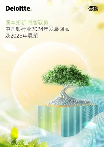 中国银行业2024年发展回顾及2025年展望报告.pdf