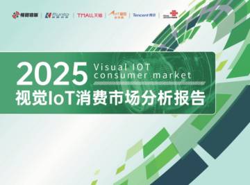 2025年视觉IoT消费市场分析报告.pdf