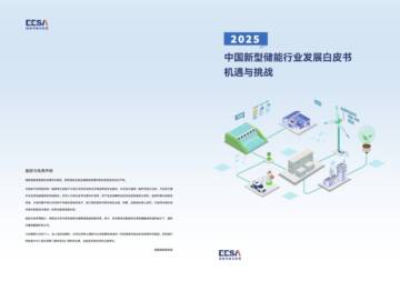 2025中国新型储能行业发展白皮书 机遇与挑战.pdf