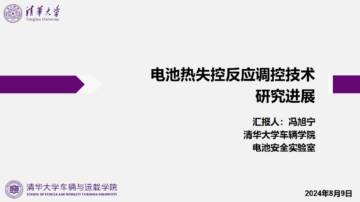 2025年电池热失控反应调控技术研究进展报告.pdf