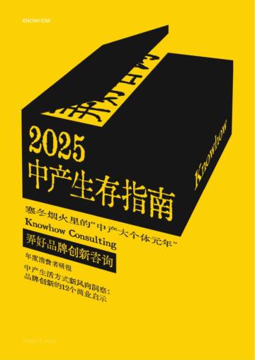 2025年中产生存指南报告.pdf