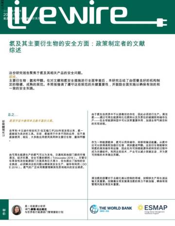 氢及其主要衍生物的安全方面：政策制定者的文献综述.pdf
