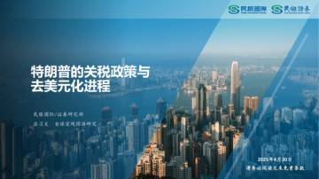 特朗普的关税政策与去美元化进程.pdf