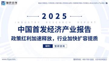 2025年中国首发经济产业发展报告：政策红利加速释放，行业加快扩容提质.pdf