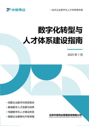 2025年数字化转型与人才体系建设指南报告.pdf