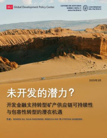 2025开发金融支持转型矿产供应链可持续性与包容性转型的潜在机遇报告.pdf