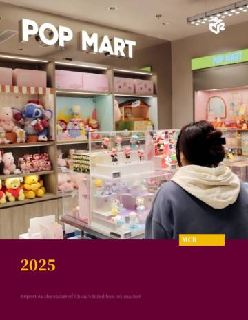 2025中国盲盒玩具市场现状报告.pdf