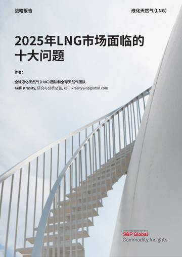 2025年LNG市场面临的十大问题研究报告.pdf