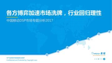 2017中国移动DSP市场专题分析.pdf