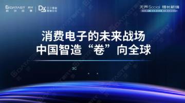 3C消费电子的未来战场：中国制造“卷”向全球.pdf