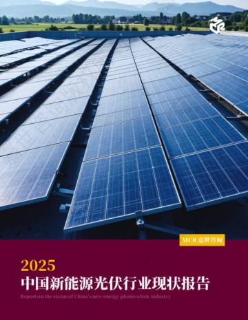 2025中国新能源光伏行业现状报告.pdf