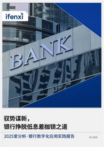 2025年银行数字化应用实践报告.pdf
