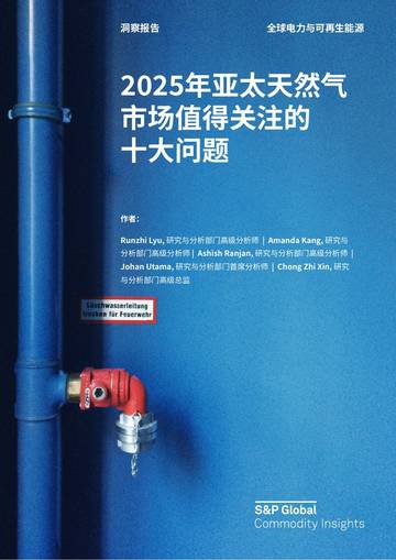 2025年亚太天然气市场值得关注的十大问题洞察报告.pdf