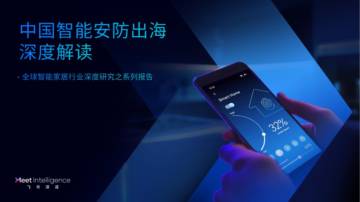 2025中国智能安防出海深度解读报告.pdf
