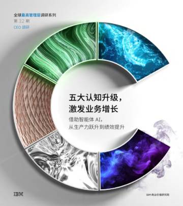 2025 CEO 调研：五大认知升级，激发业务增长.pdf