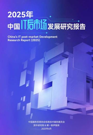 2025年中国IT后市场发展研究报告.pdf