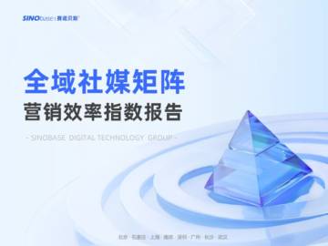 2025年全域社媒矩阵营销效率指数报告.pdf