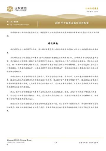2025年中国商业银行信用展望.pdf