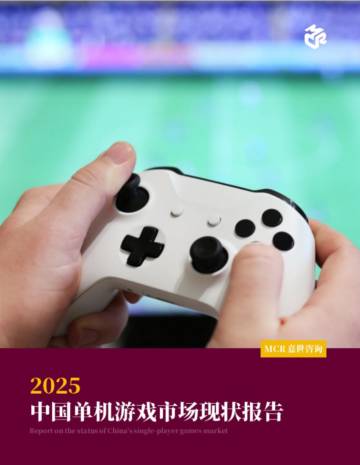 2025中国单机游戏市场现状报告.pdf