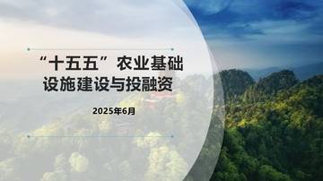 “十五五”农业基础设施建设与投融资.pdf