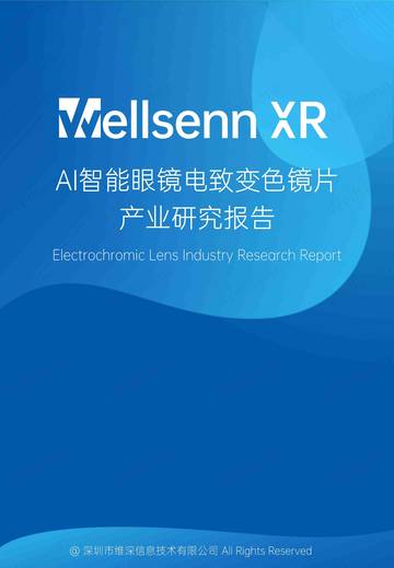 2025AI智能眼镜电致变色镜片产业研究报告.pdf