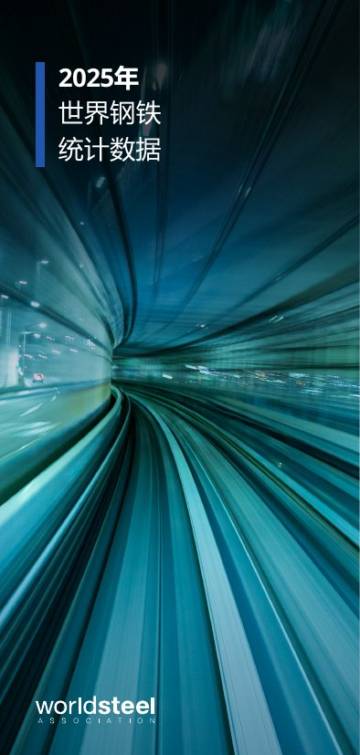 2025年世界钢铁统计数据报告.pdf
