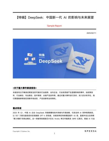 DeepSeek：中国新一代AI的影响与未来展望.pdf