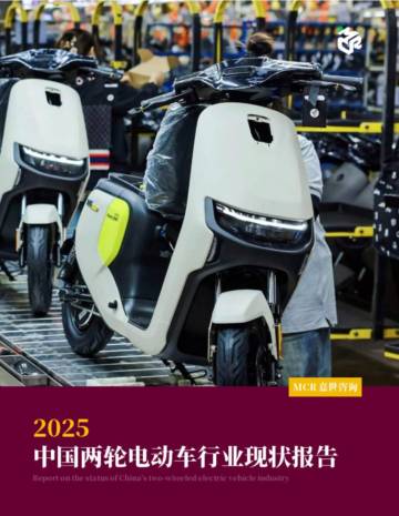 2025中国两轮电动车行业现状报告.pdf
