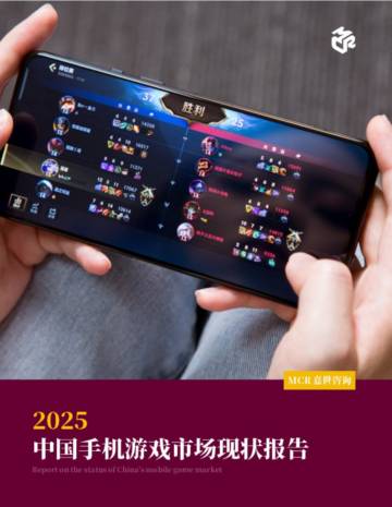 2025中国手机游戏市场现状报告.pdf