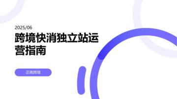 跨境快消独立站运营指南.pdf