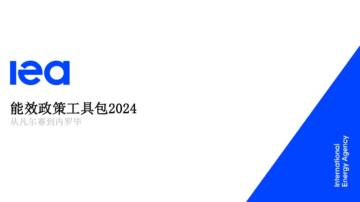 能效政策工具包2024.pdf