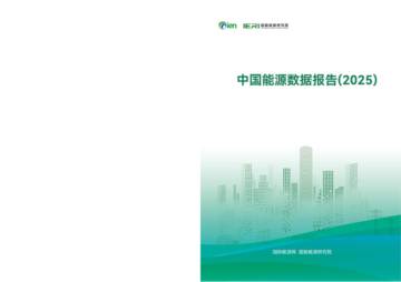 中国能源数据报告（2025）.pdf