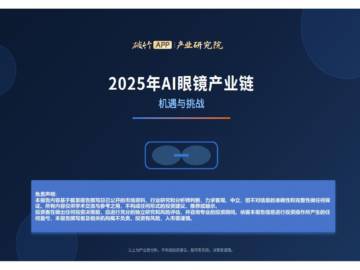 2025年AI眼镜产业链-机遇与挑战.pdf
