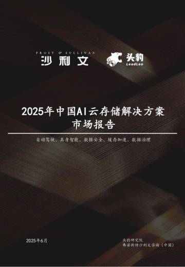2025年中国AI云存储解决方案市场报告.pdf