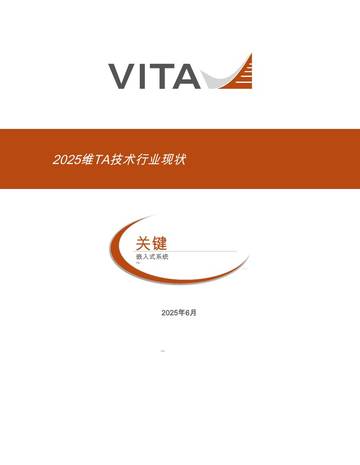 2025年维TA技术行业现状.pdf